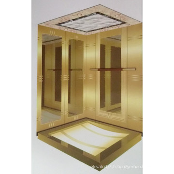 Fjzy-Haute Qualité et Sécurité Maison Ascenseur Fjs-1605